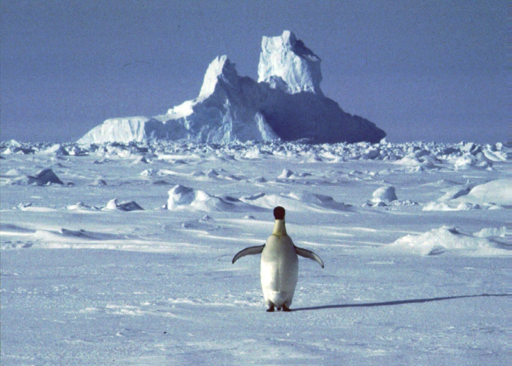 Antarctica